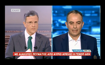 Πρόεδρος ΓΕΝΟΠ/ΔΕΗ στον Σκάϊ : Αν υπάρχουν διακοπές, τότε κάποιοι θα στήνουν κερδοσκοπικά παιχνίδια